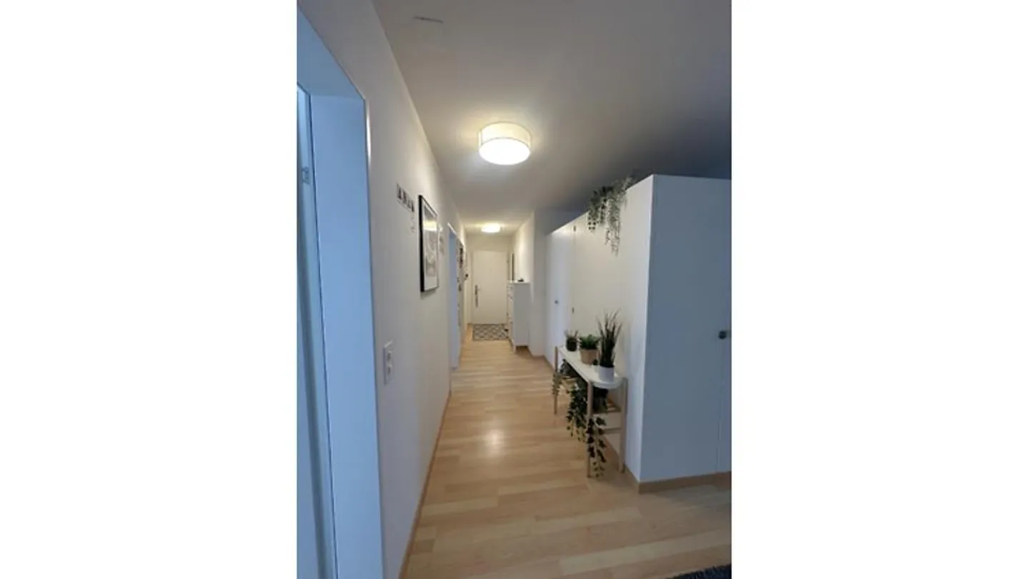 4½ ROOM APARTMENT IN VOLKETSWIL (ZH), FURNISHED, TEMPORARY - Photo 9 of 10