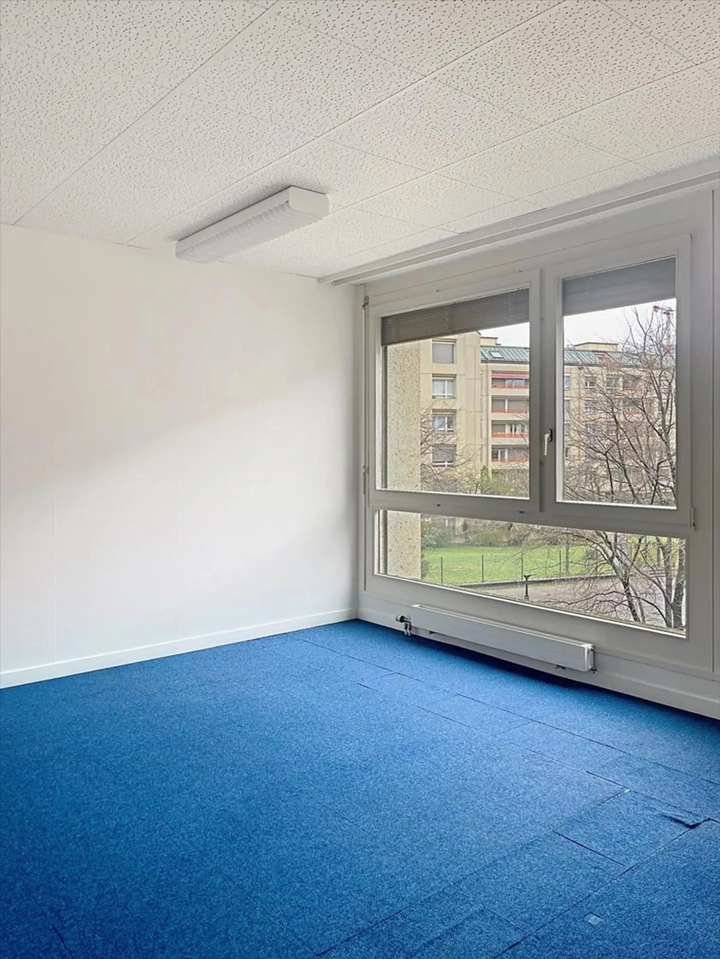 «Büros in Carouge» - Foto 9 von 13