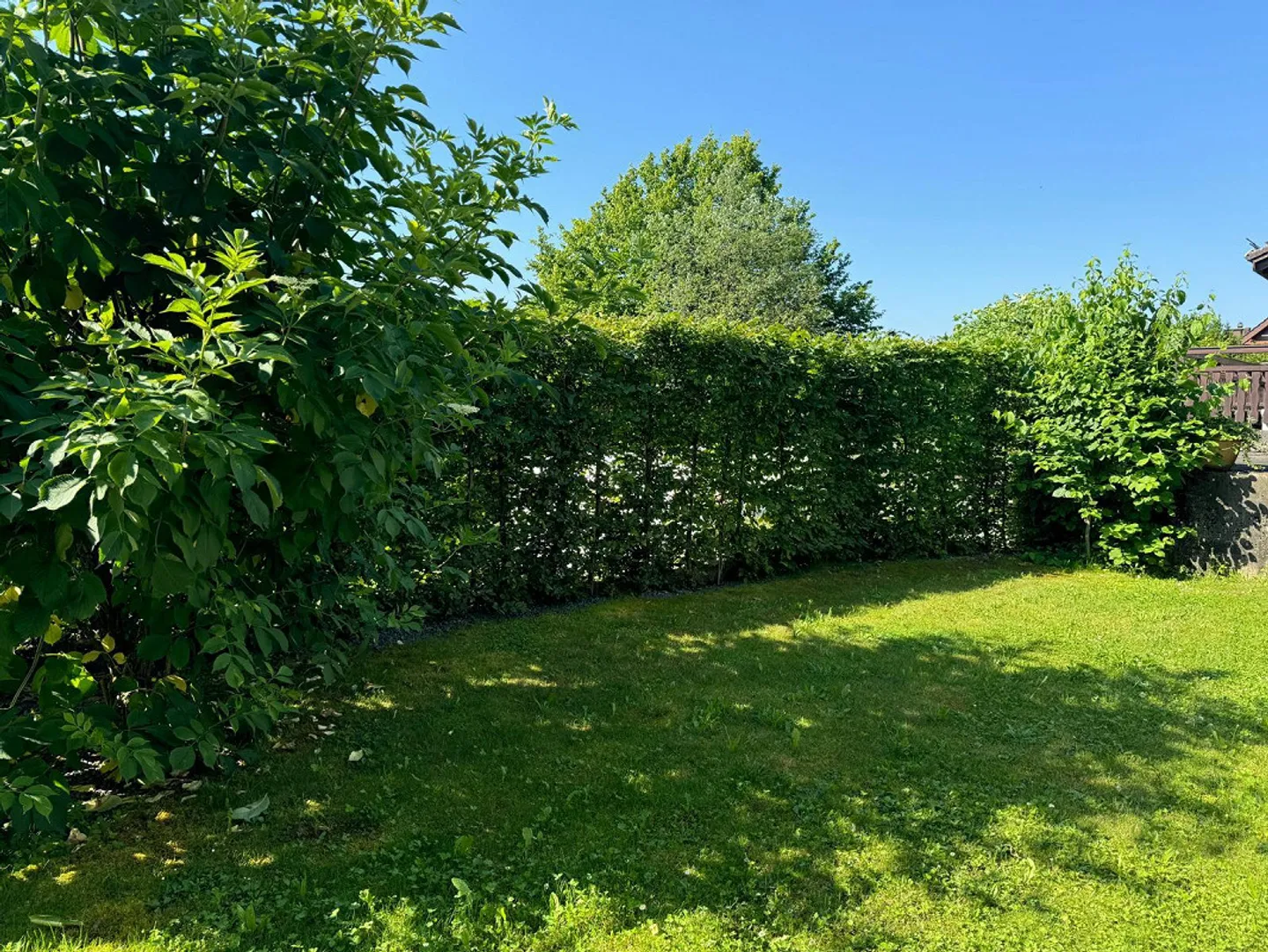 Space, Design and View at its Finest on Muniberg - Photo 6 of 12