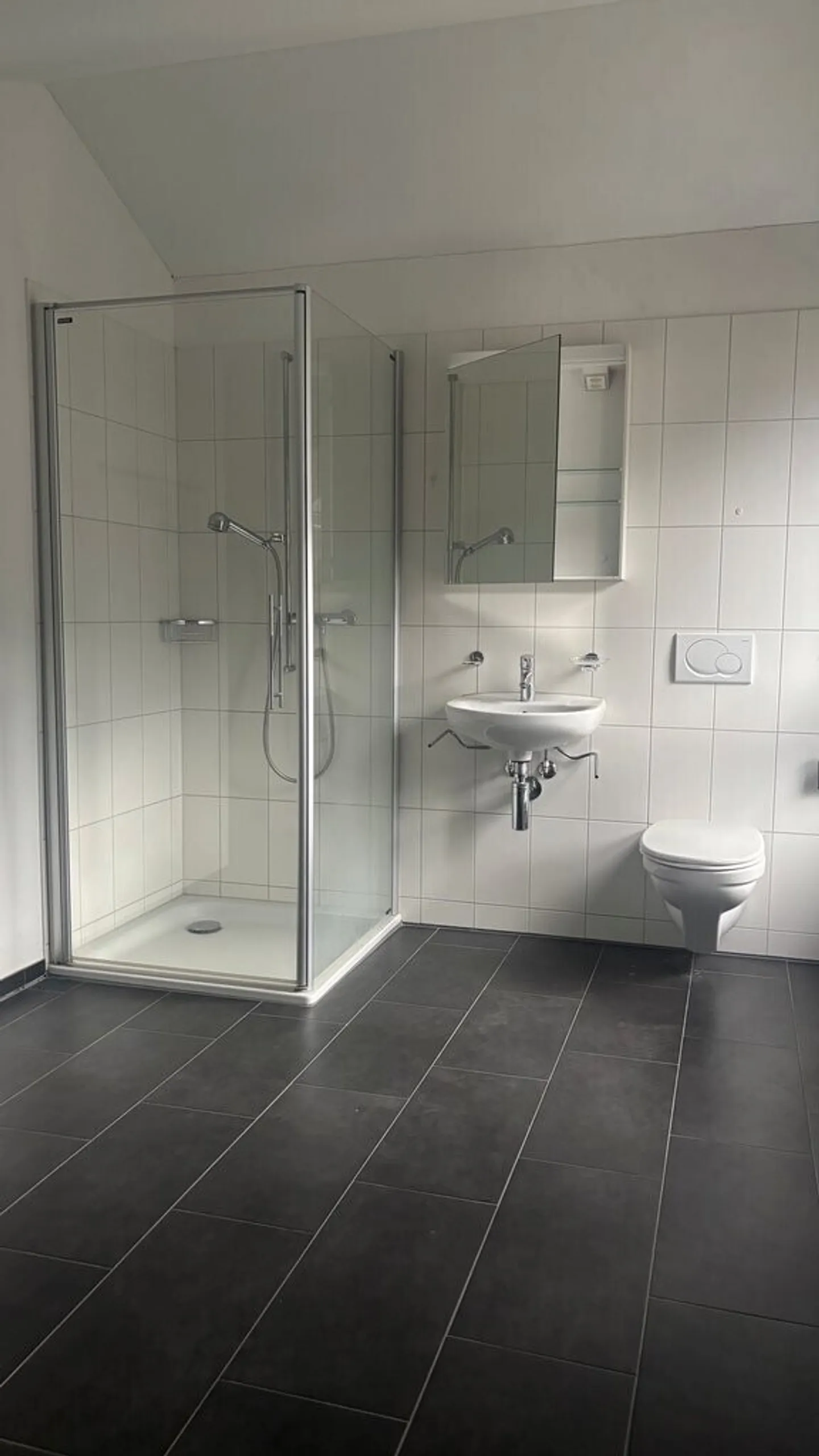 Cozy 4.5 Maisonette Apartment in the Heart of Domat/Ems - Photo 8 of 9