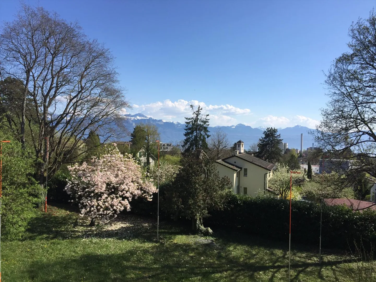 Villa contigua contemporanea in un ampio parco alberato - Foto 3 di 4