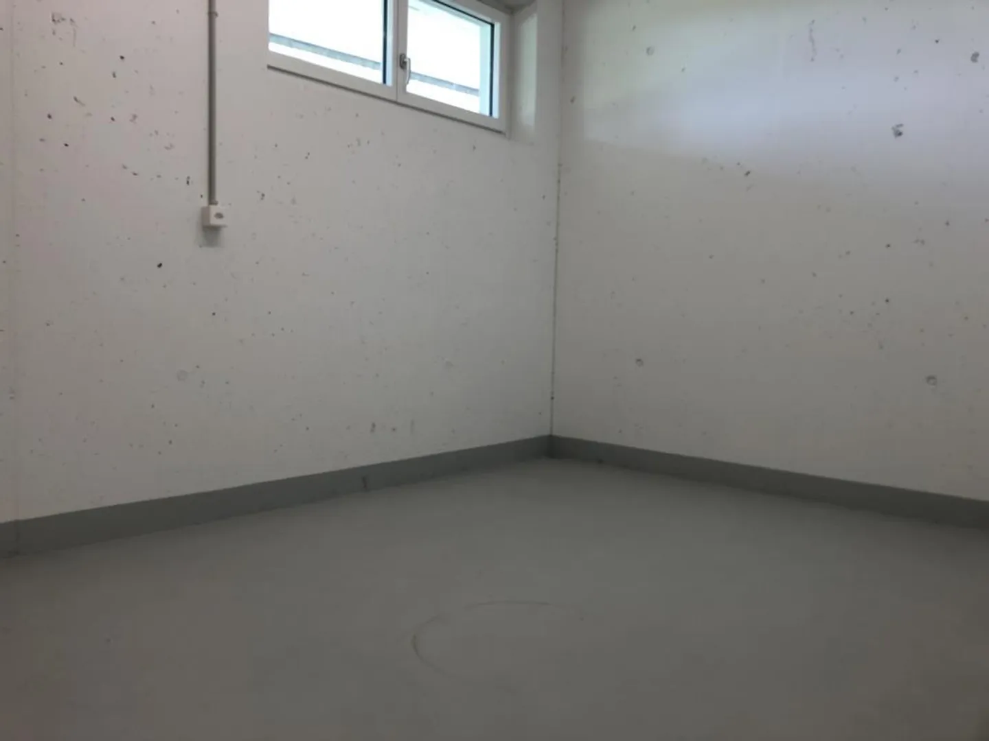 Grosser Hobbyraum für noch mehr Platz in St.Gallen - Foto 4 von 4