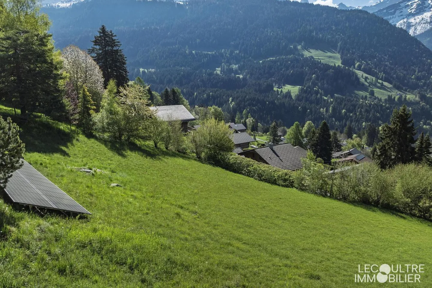 Gryon - Terreno edificabile a soli due passi dai servizi - Foto 2 di 3