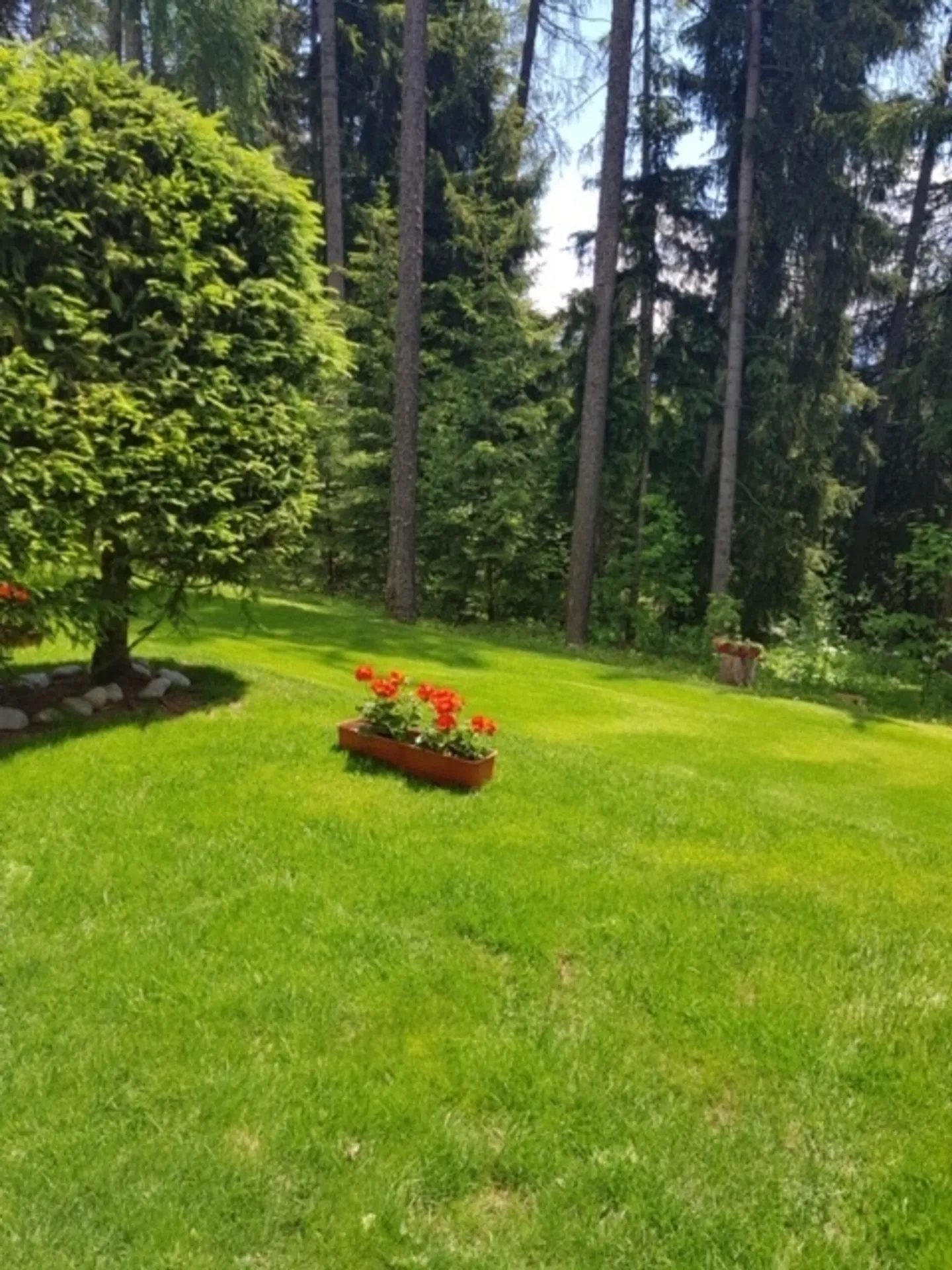 Wohnung kaufen - Foto 3 von 14