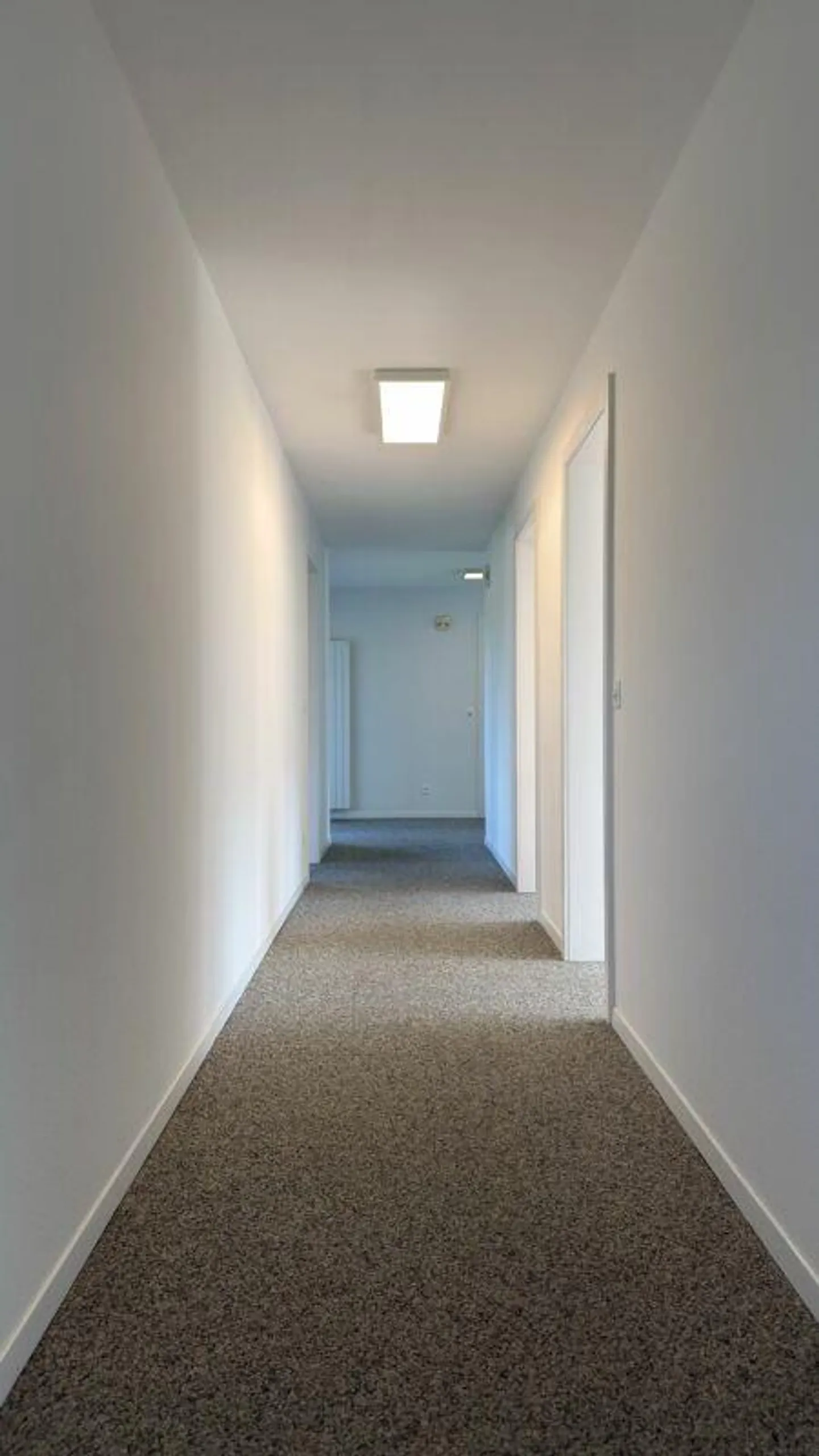 Appartamento 5.5 stanze appena ristrutturato con 2 balconi e vista mozzafiato... - Foto 8 di 20