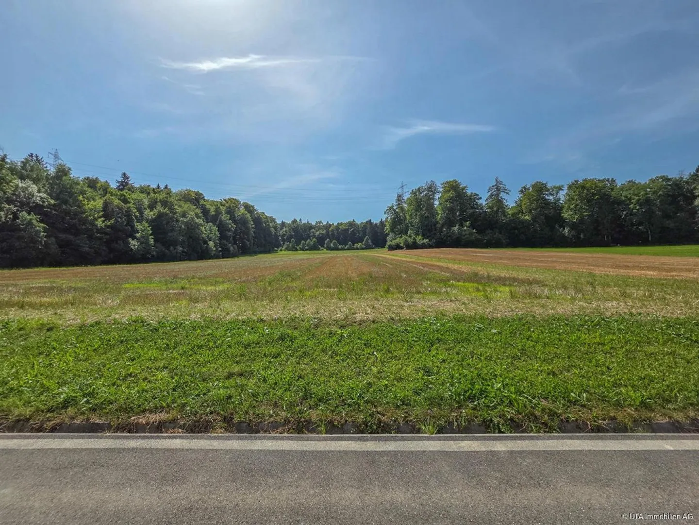 «Grosszügiges Einfamilienhaus - Weitblick, Waldnähe & Gartenparadies» - Foto 3 von 13