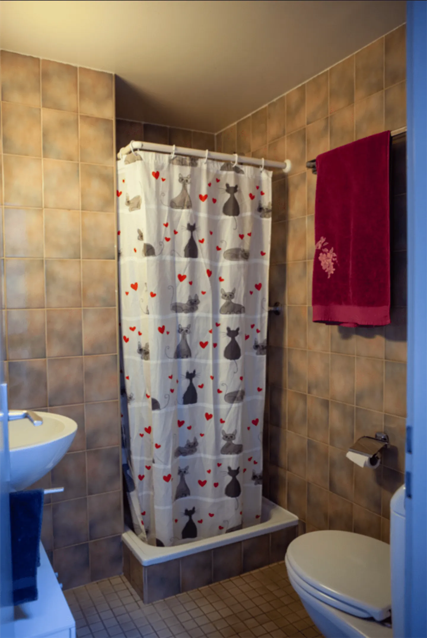 VEVEY - RUE DE L'ANCIENNE-MONNERESSE 9B - 4.5 ZIMMER WOHNUNG - Foto 8 von 8