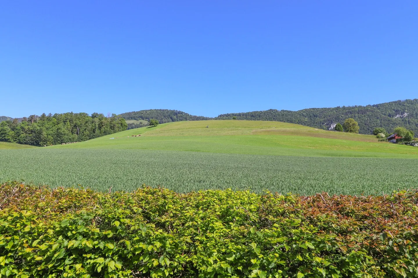 Maison individuelle de 5 pièces avec belle vue sur la verdure - Photo 4 sur 14