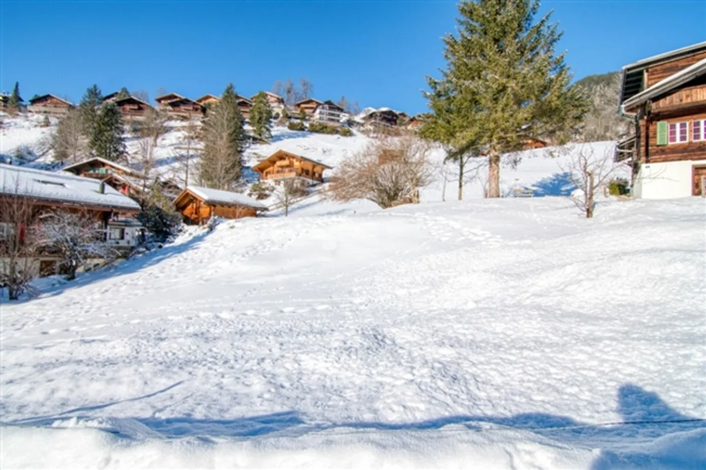 Terrain de construction exclusif dans le meilleur emplacement ensoleillé à Grindelwald - Vivre avec vue panoramique, idéal pour une maison unifamiliale ou bifamiliale - Photo 8 sur 16