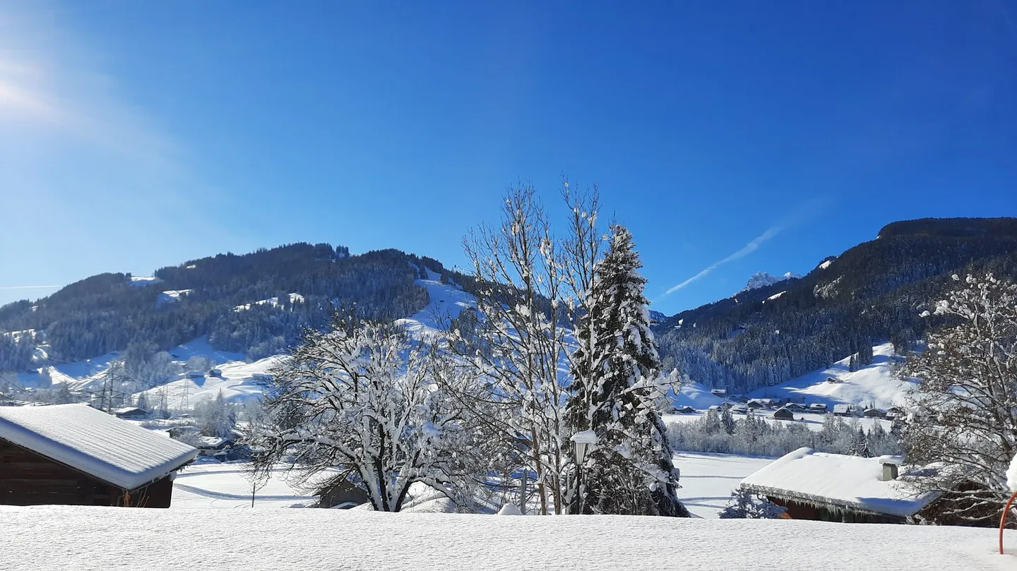 Appartamento al piano terra di alta qualità con la migliore vista - Foto 1 di 5