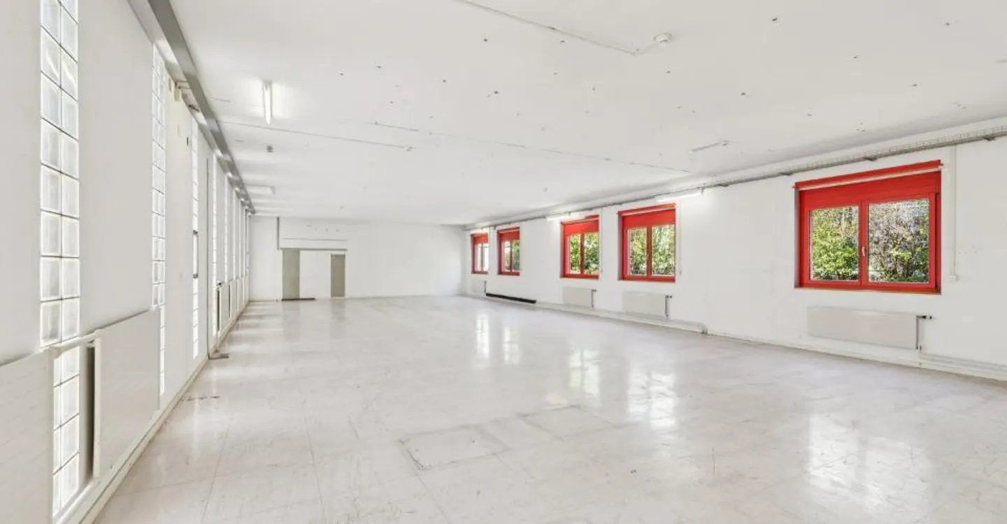 266 m² for your ideas, your team, and your growth in Laufen - Photo 2 of 9