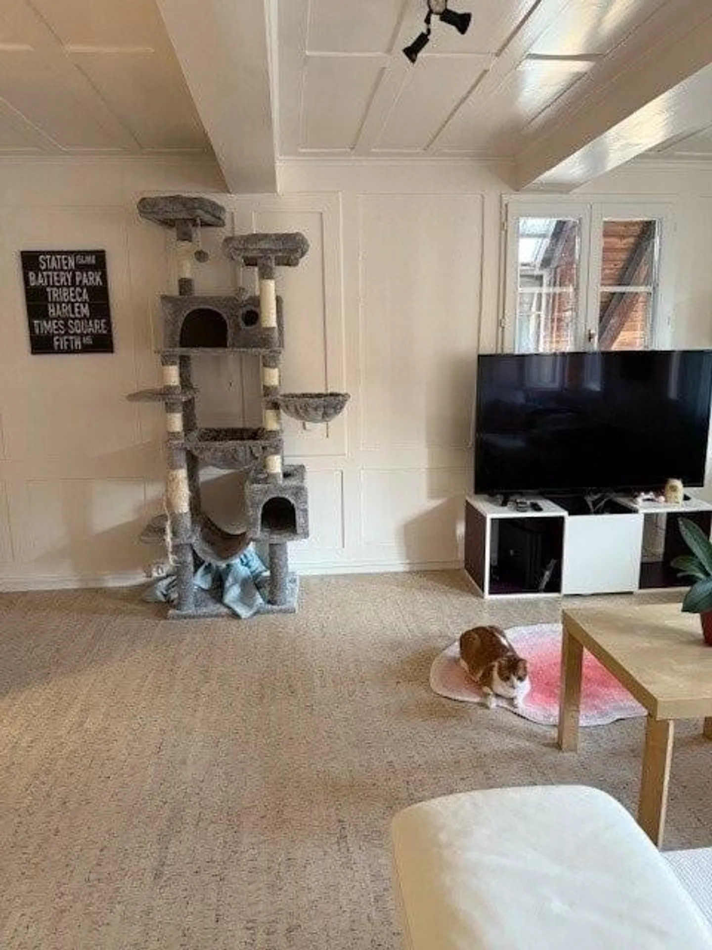 4.5 Zimmer-Wohnung mit Cachet - Foto 4 von 12