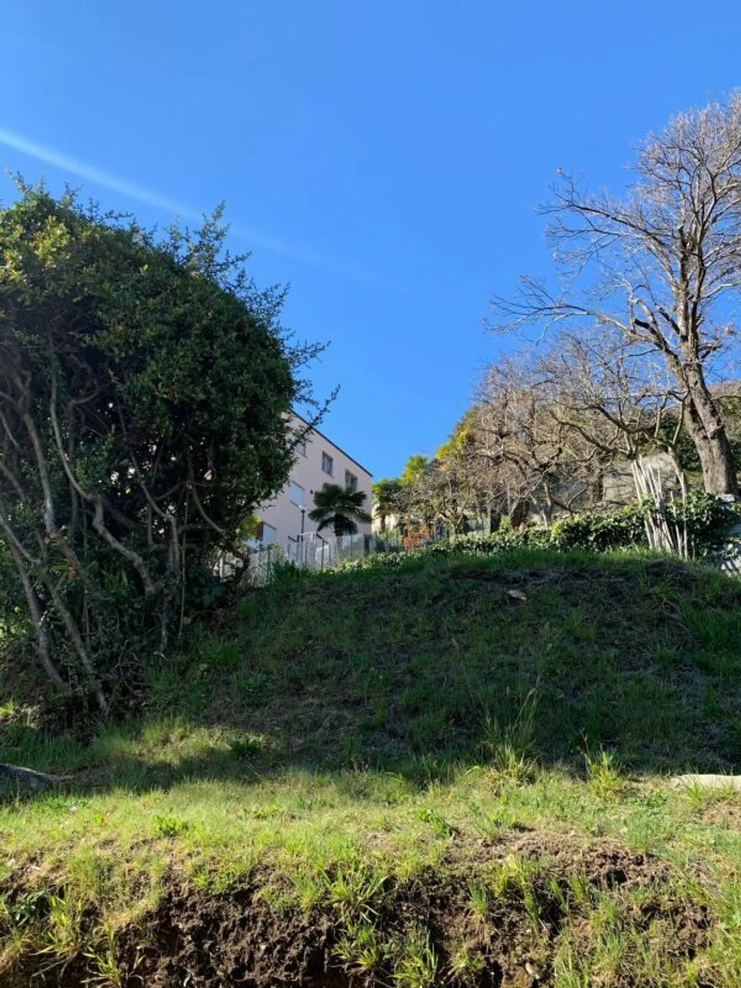 BAUBARES LAND 1548 MQ MIT PRÄCHTIGEM SEEBLICK - ORSELINA - Foto 6 von 8