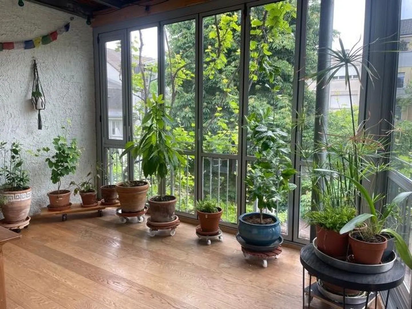 Schöne 4-Zimmer Altbauwohnung mit Wintergarten und Balkon zu vermieten - Foto 3 von 8