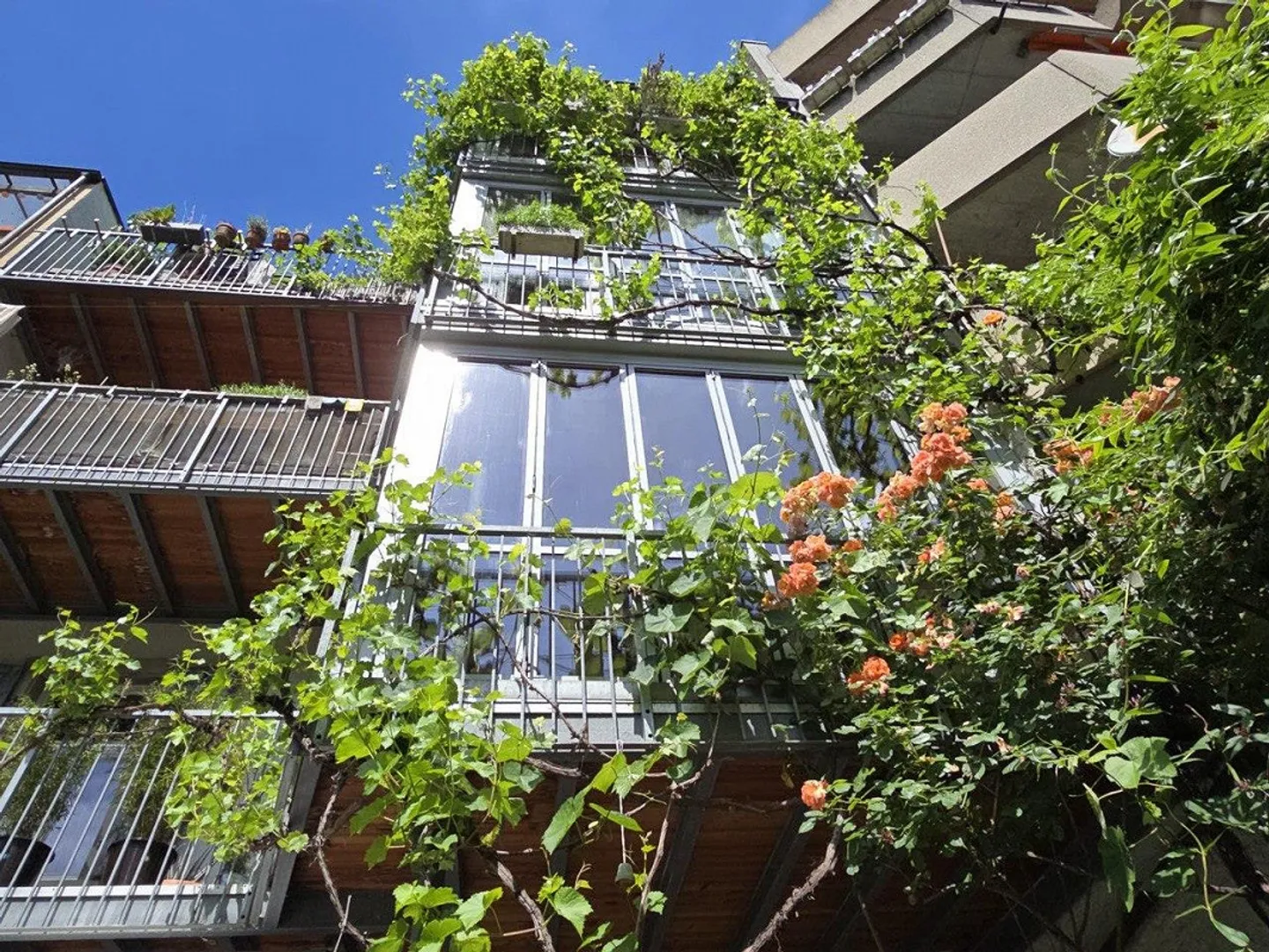 Schöne 4-Zimmer Altbauwohnung mit Wintergarten und Balkon zu vermieten - Foto 4 von 8