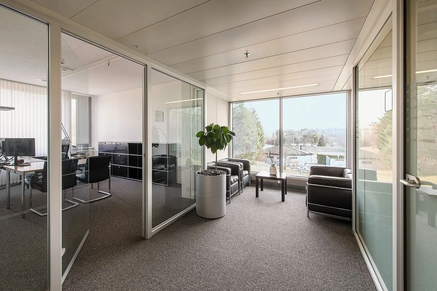 Andiamo Wallisellen - All inclusive! - Photo 7 of 12