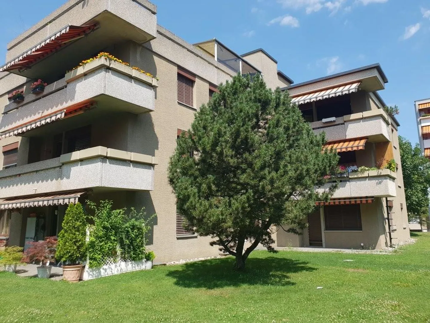 gemütliche Wohnung mit Blick auf die Berge - Foto 11 von 12