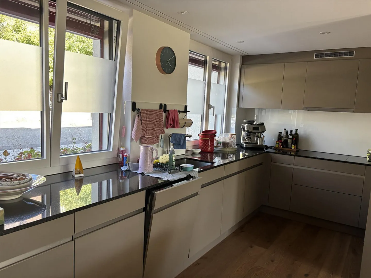 Appartamento di nuova costruzione 5.5 stanze con grande giardino - Foto 2 di 8