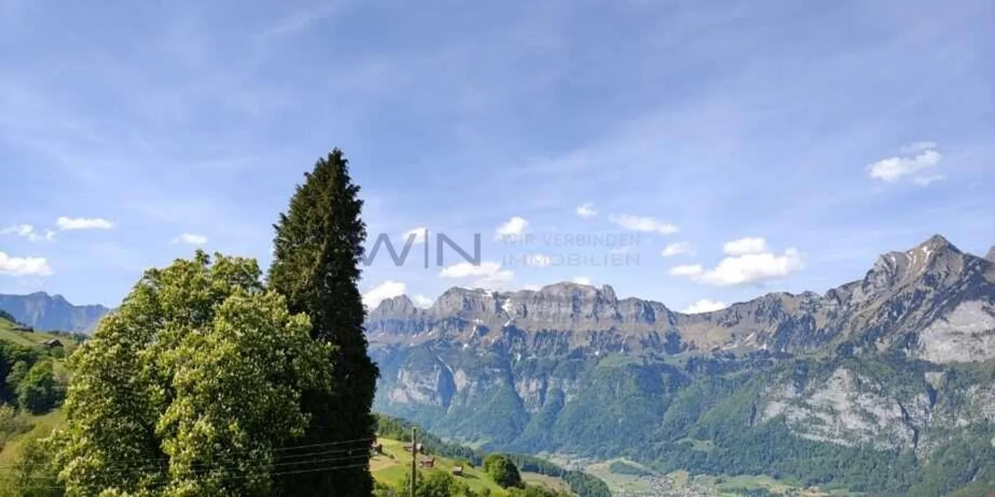 Alpine Panorama Pure. Unobstructed Dream Home. - Photo 1 of 13