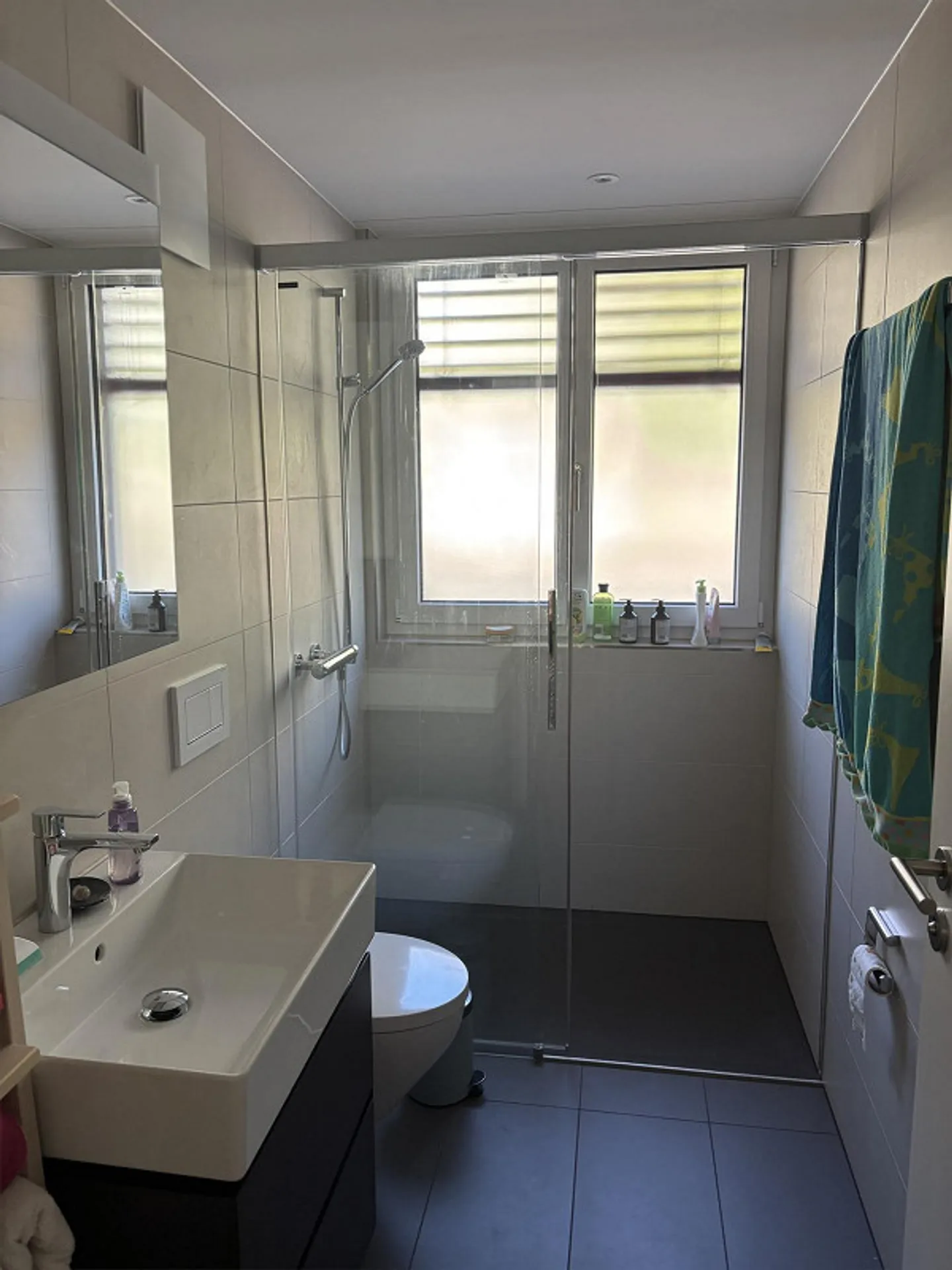 Appartamento di nuova costruzione 5.5 stanze con grande giardino - Foto 6 di 8