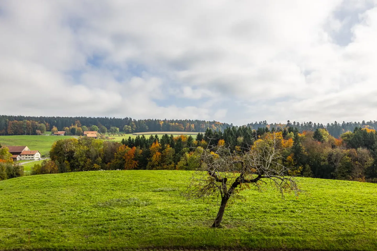 Opportunité à Porsel : vivre la lumière, respirer la nature - Photo 4 sur 7
