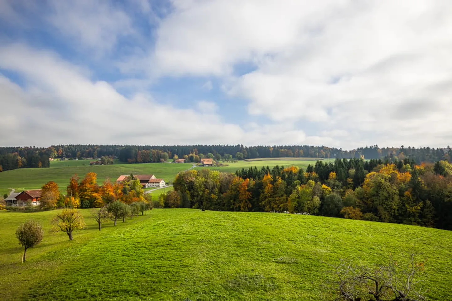 Opportunité à Porsel : vivre la lumière, respirer la nature - Photo 3 sur 7