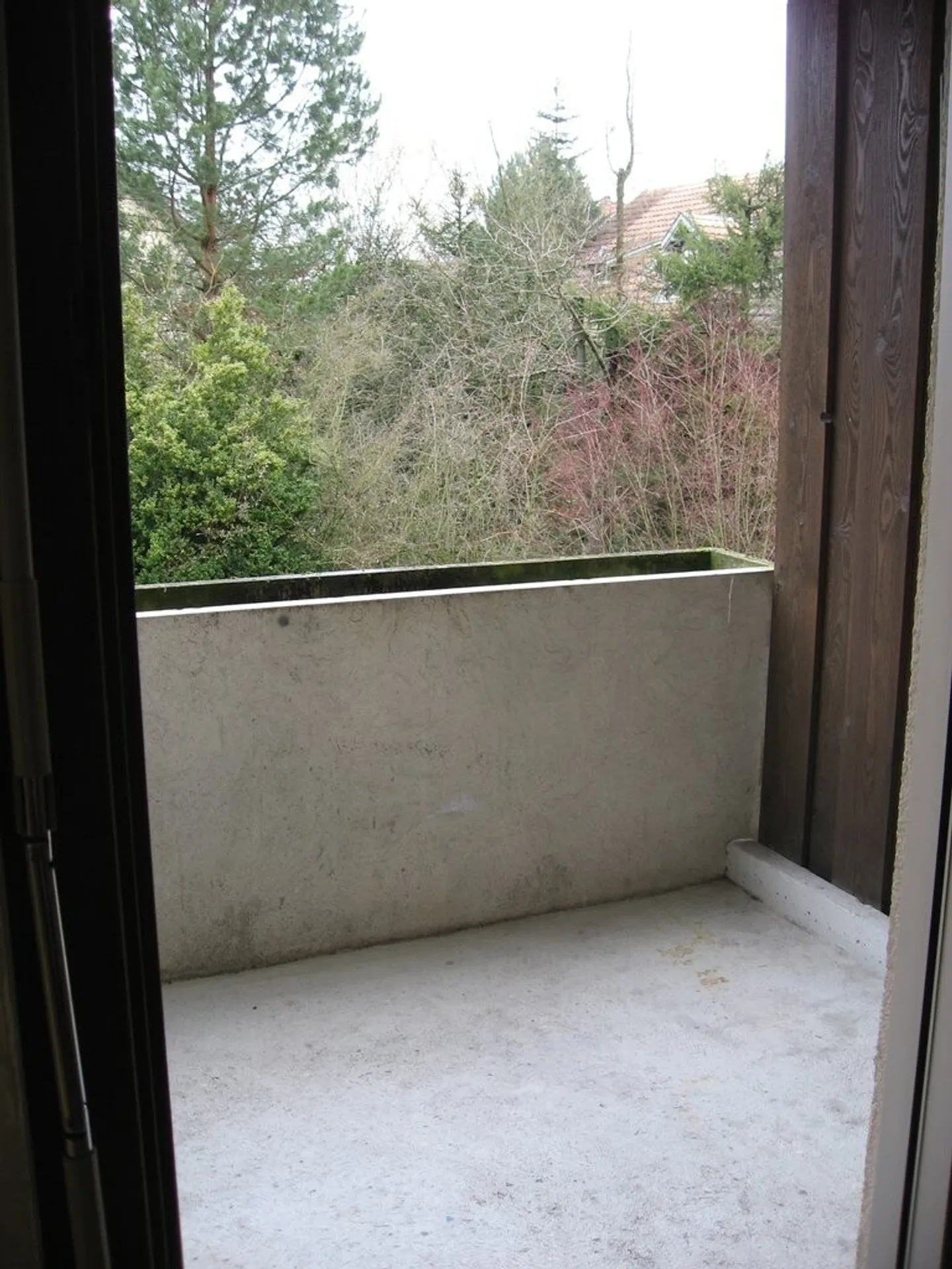 Living happiness for singles - Photo 6 of 6