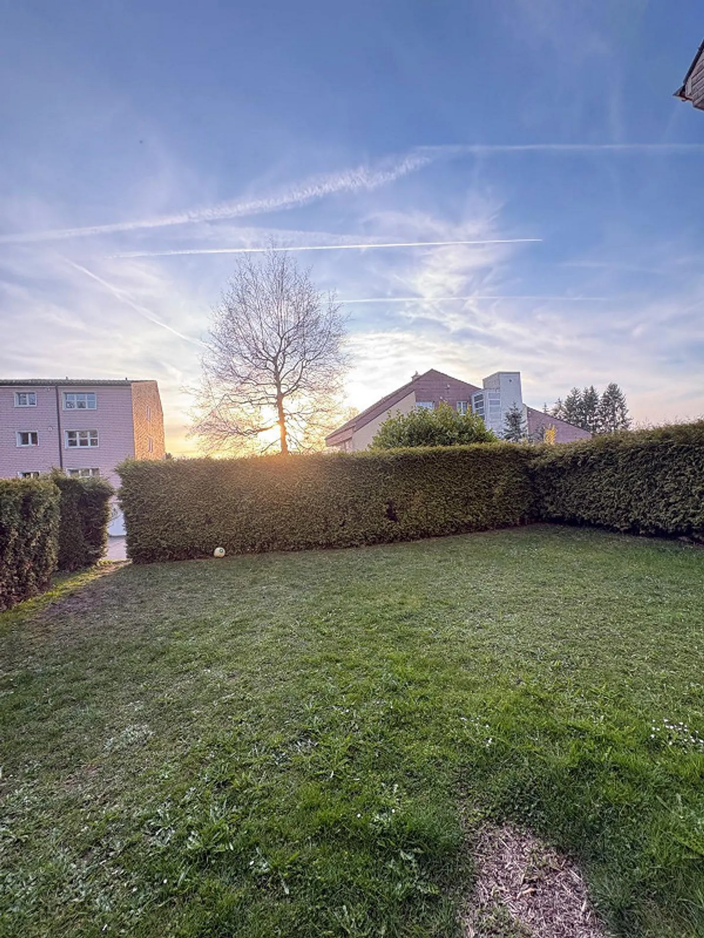 2.5 Room Apartment - Photo 2 of 10