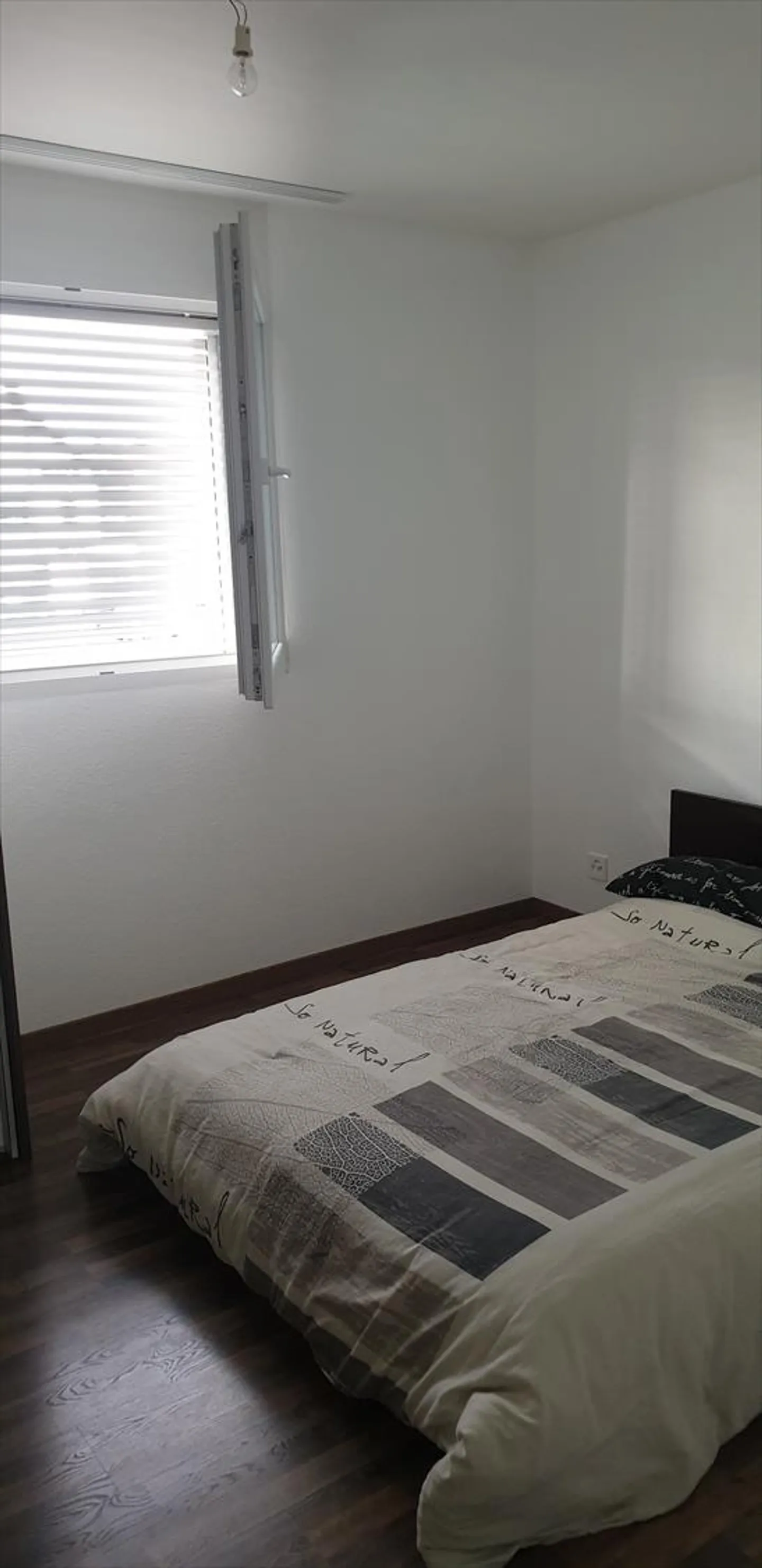 2.5 Room Apartment - Photo 8 of 11
