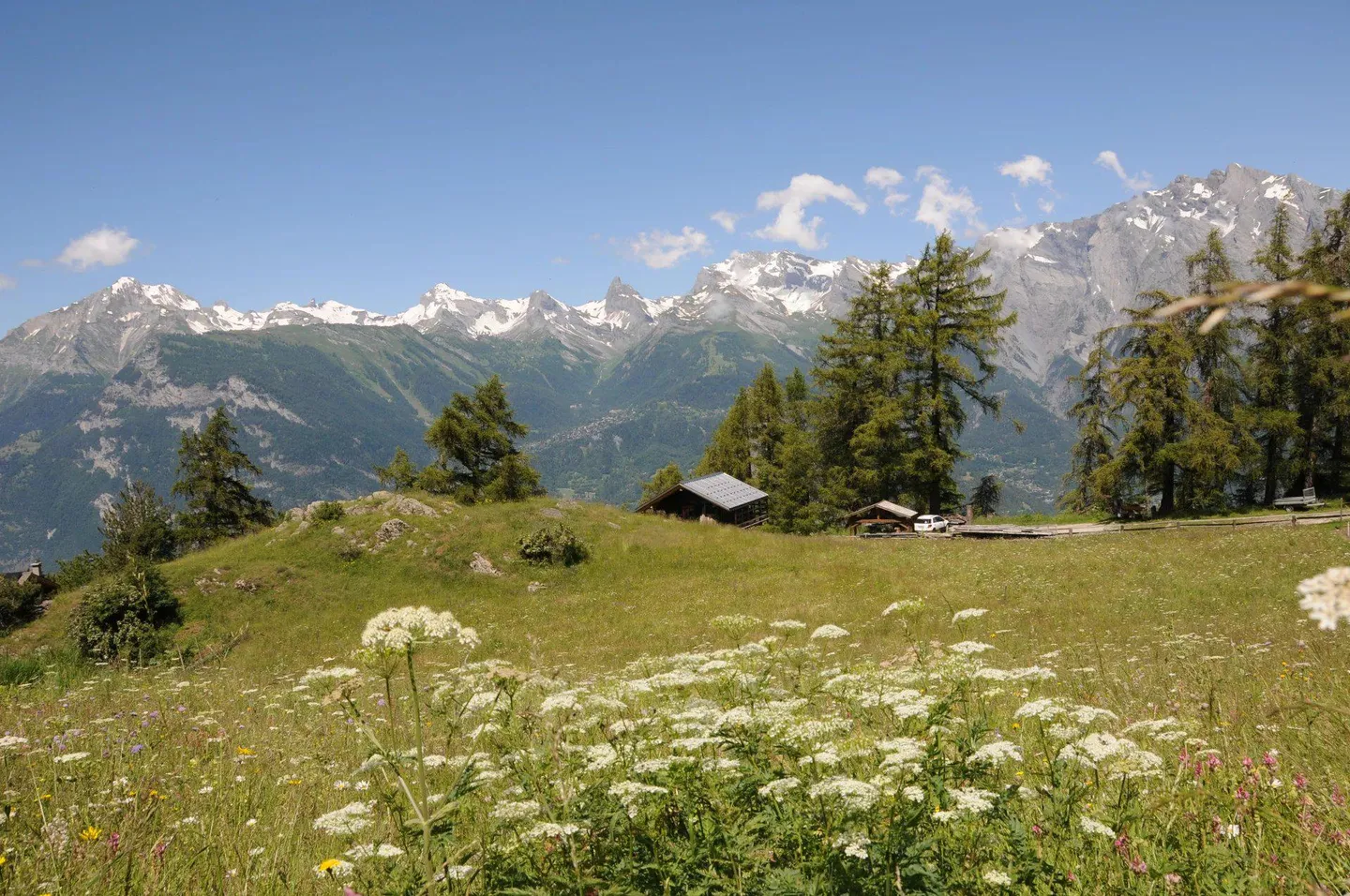 Baugenehmigung besteht: Minergie-Chalet "Campo di Fiori" mit hohem Standard - Foto 2 von 6
