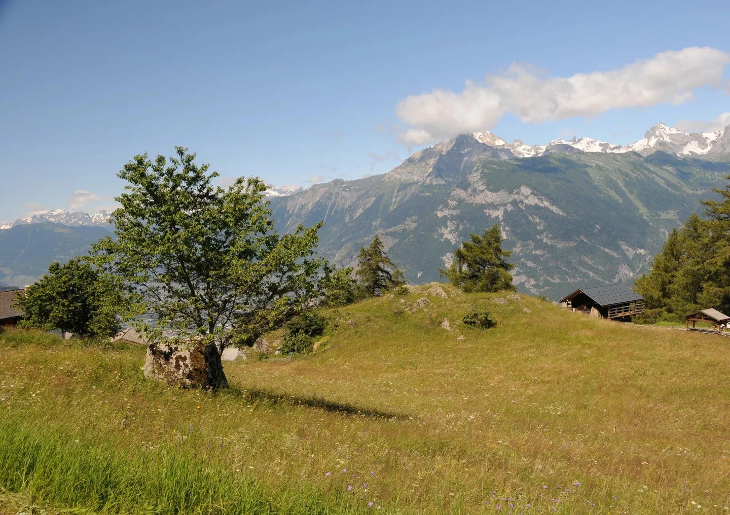 Baugenehmigung besteht: Minergie-Chalet "Campo di Fiori" mit hohem Standard - Foto 3 von 6