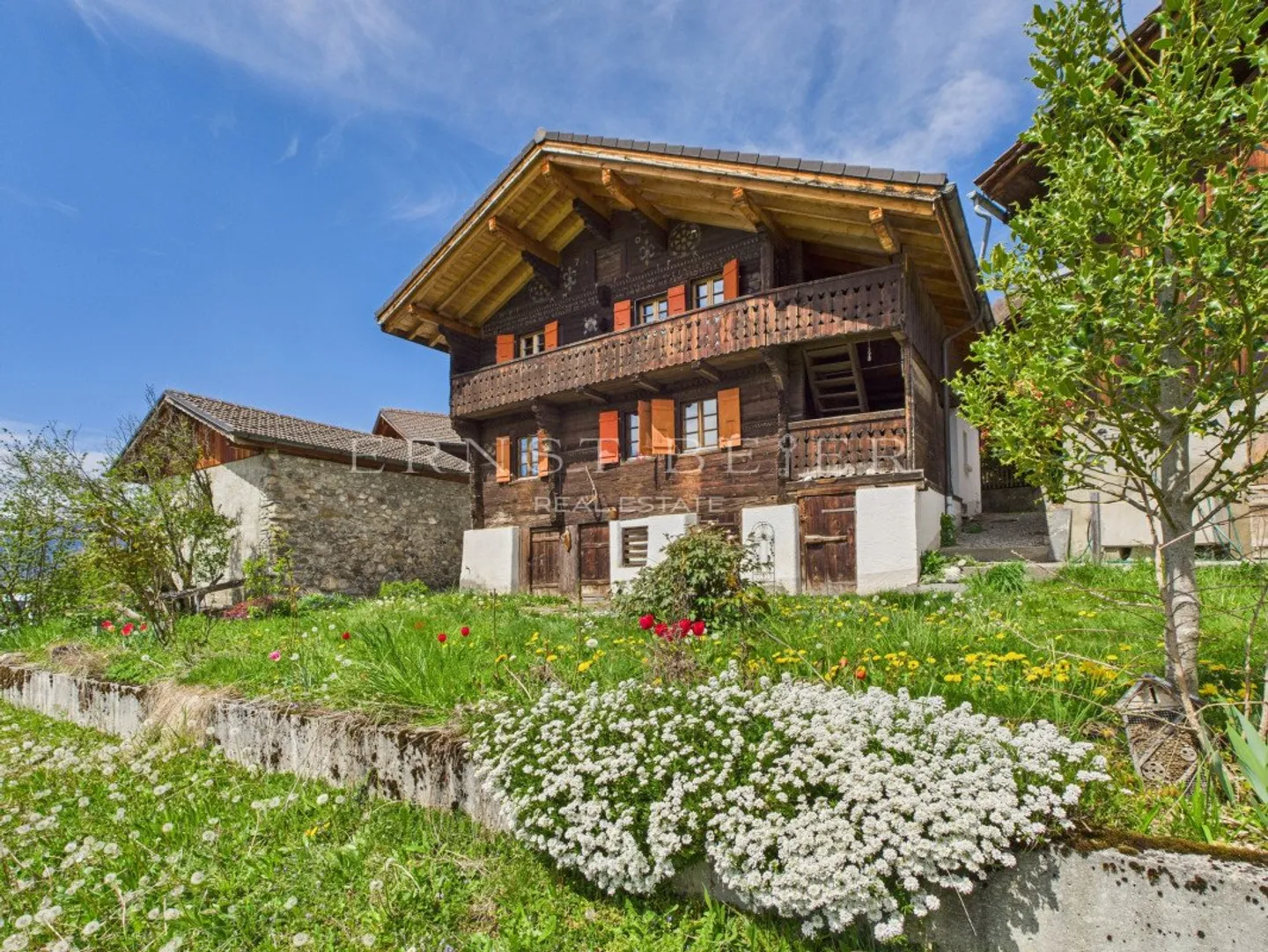 Beautiful chalet with attached barn and panoramic view - peaceful environment - Photo 1 of 13