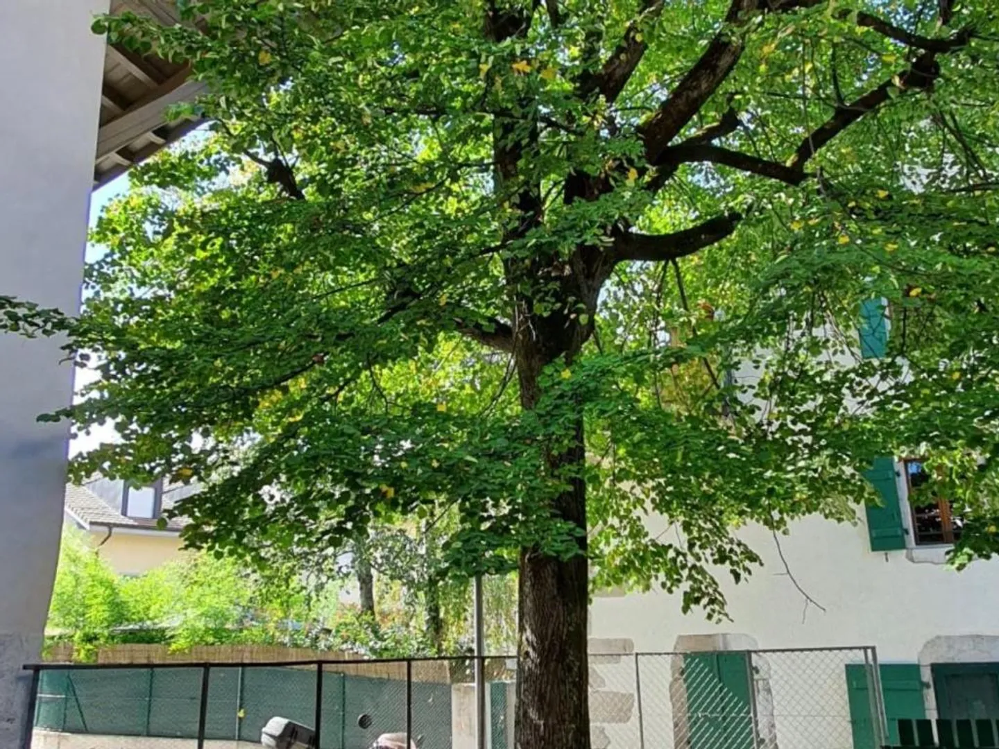 Villa in affitto - Foto 4 di 4
