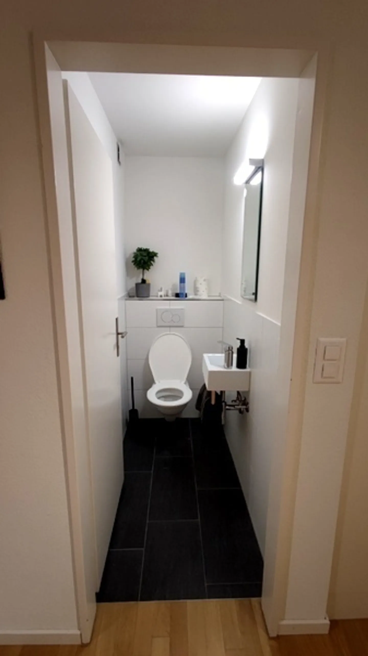 APPARTEMENT 2½ PIÈCES À DÜBENDORF (ZH), MEUBLÉ, TEMPORAIRE - Photo 6 sur 9
