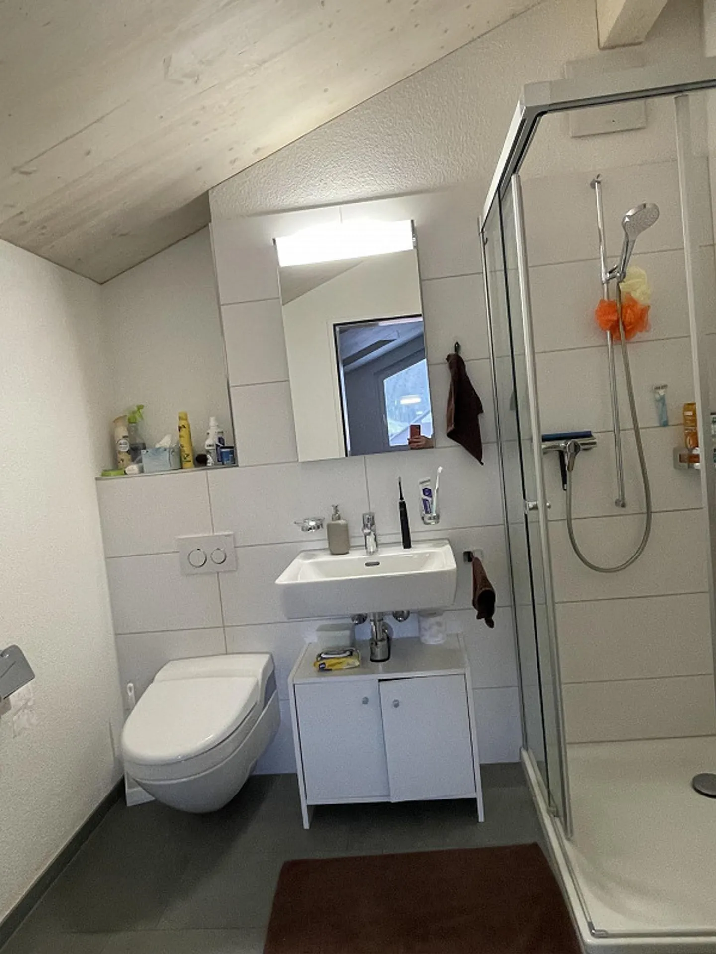 Spacious 4.5-Room Duplex Apartment - Photo 8 of 11