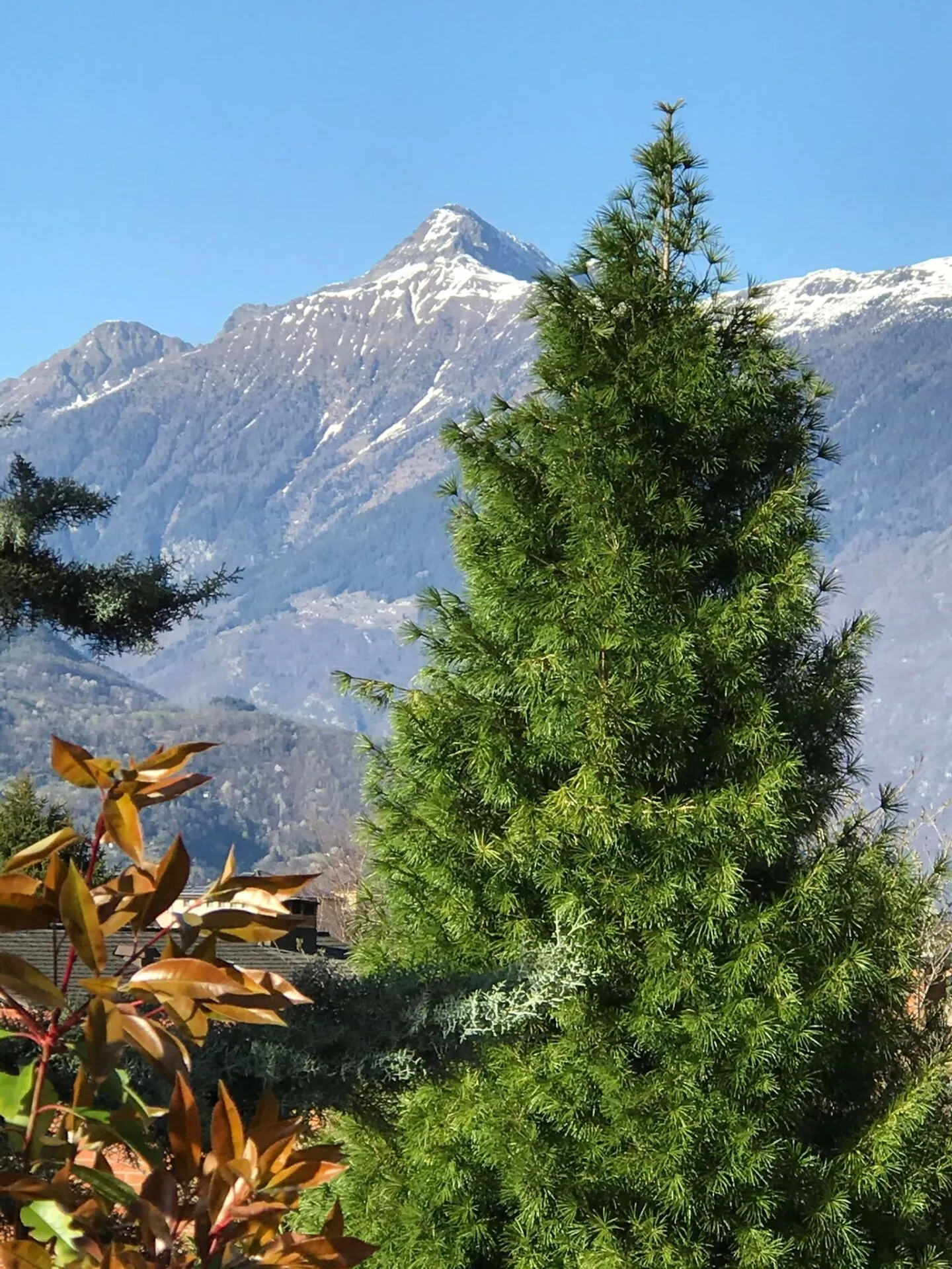 Stunning house in a residential location - Photo 14 of 16