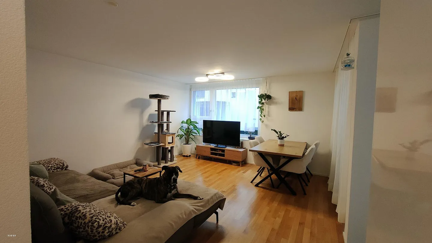 Stilvolle Wohnung in Fläsch - Foto 1 von 15