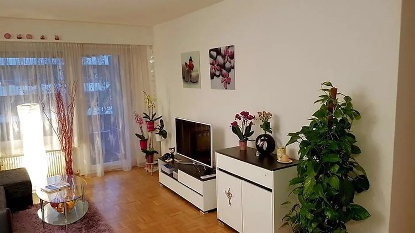 Charmante Wohnung Nähe Biel - Foto 1 von 8