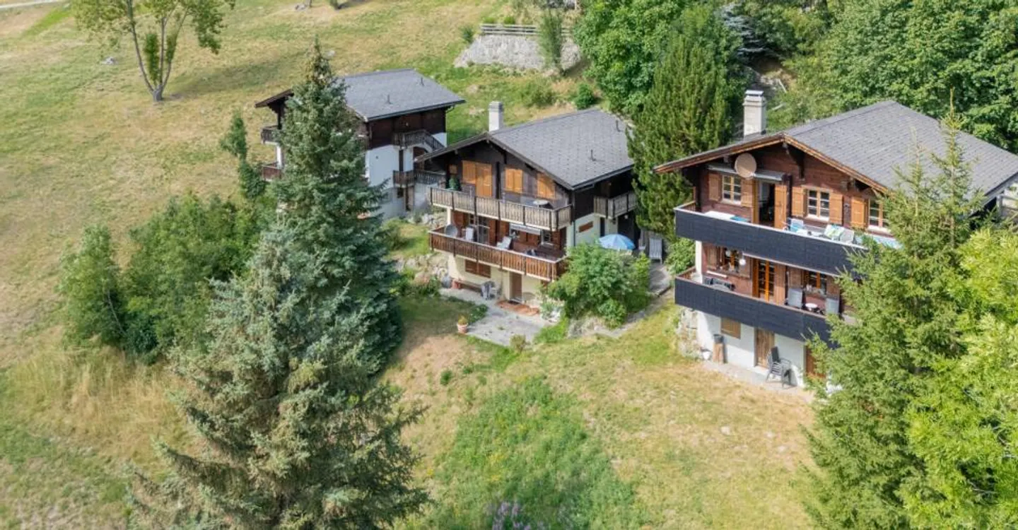 3.5-room apartment in Chalet Aux Etoiles in Bellwald - Photo 2 of 13