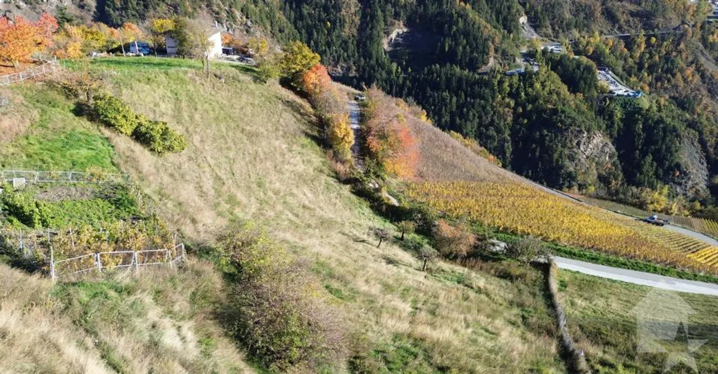 Terrain de construction à Daillon - Photo 5 sur 7