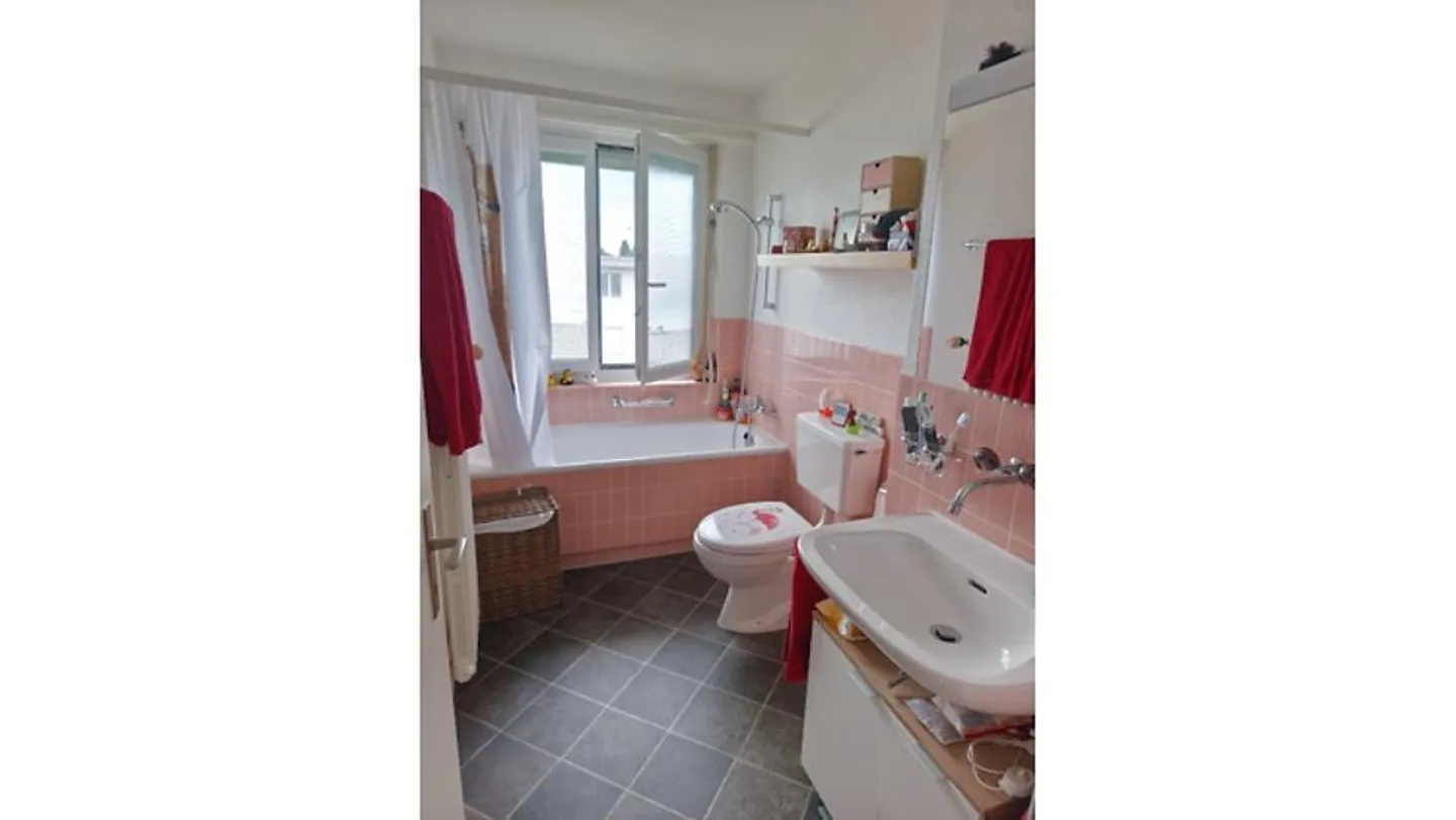 2 ROOM APARTMENT IN JONA (SG), FURNISHED, TEMPORARY - Photo 5 of 5