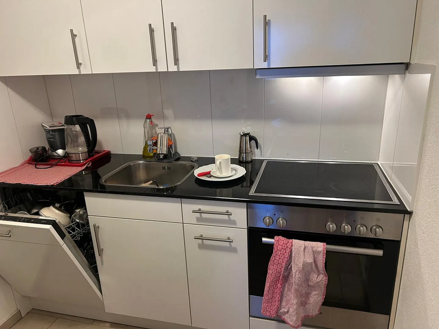 Appartamento 2 locali soleggiato con vista spettacolare - Foto 5 di 7