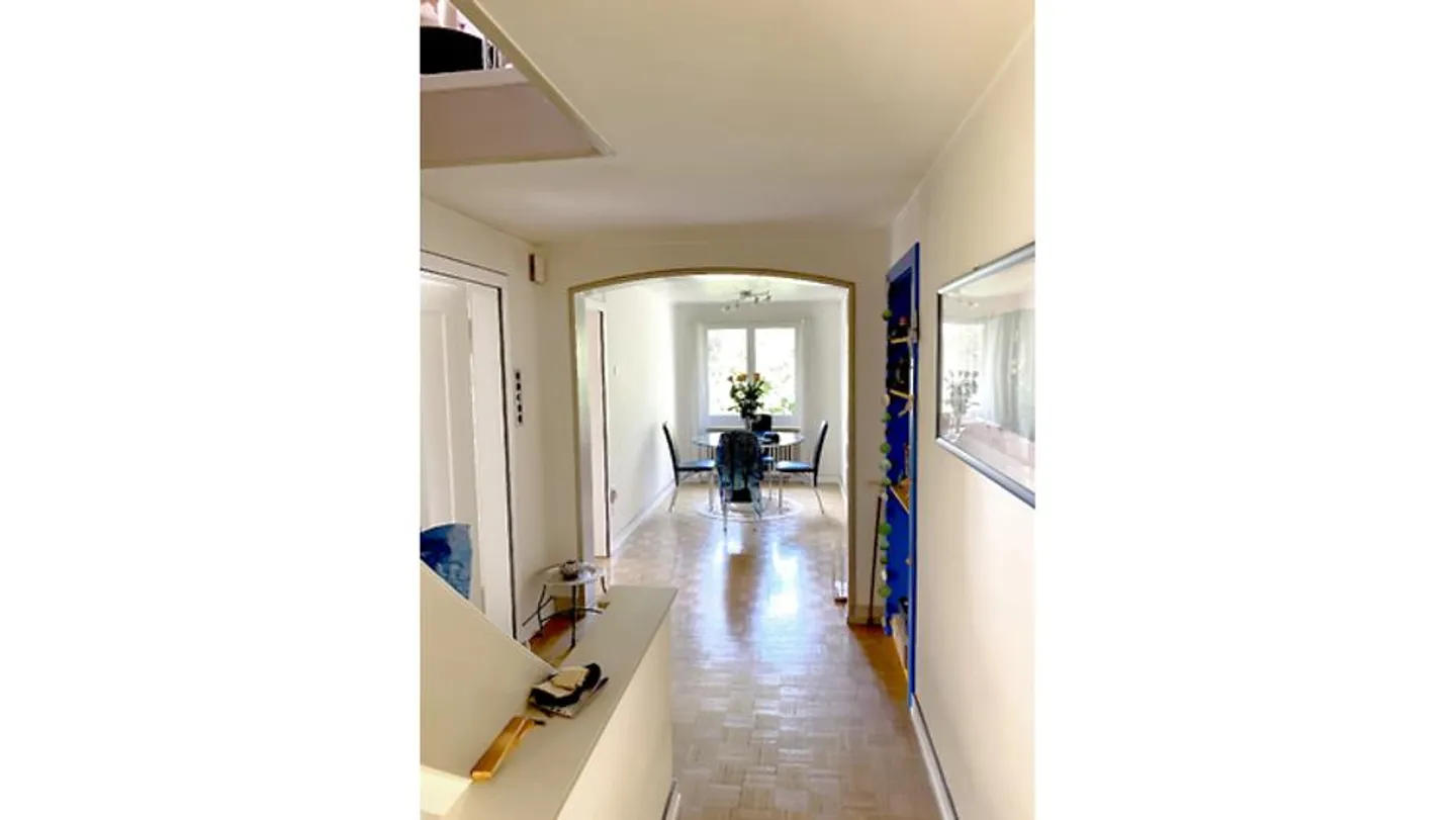MAISON DE 5 CHAMBRES À WINTERTHUR - TÖSS, MEUBLÉE, TEMPORAIRE - Photo 3 sur 6