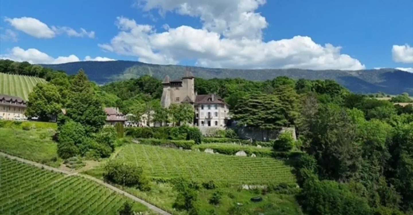 Büro - Foto 1 von 7