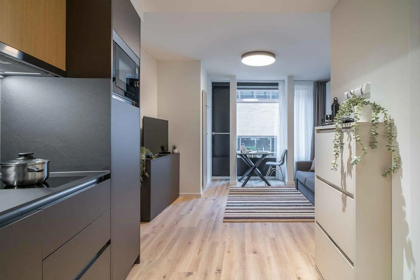 City Pop - Cosy Studio Apartments in KleinBasel - Photo 2 of 9