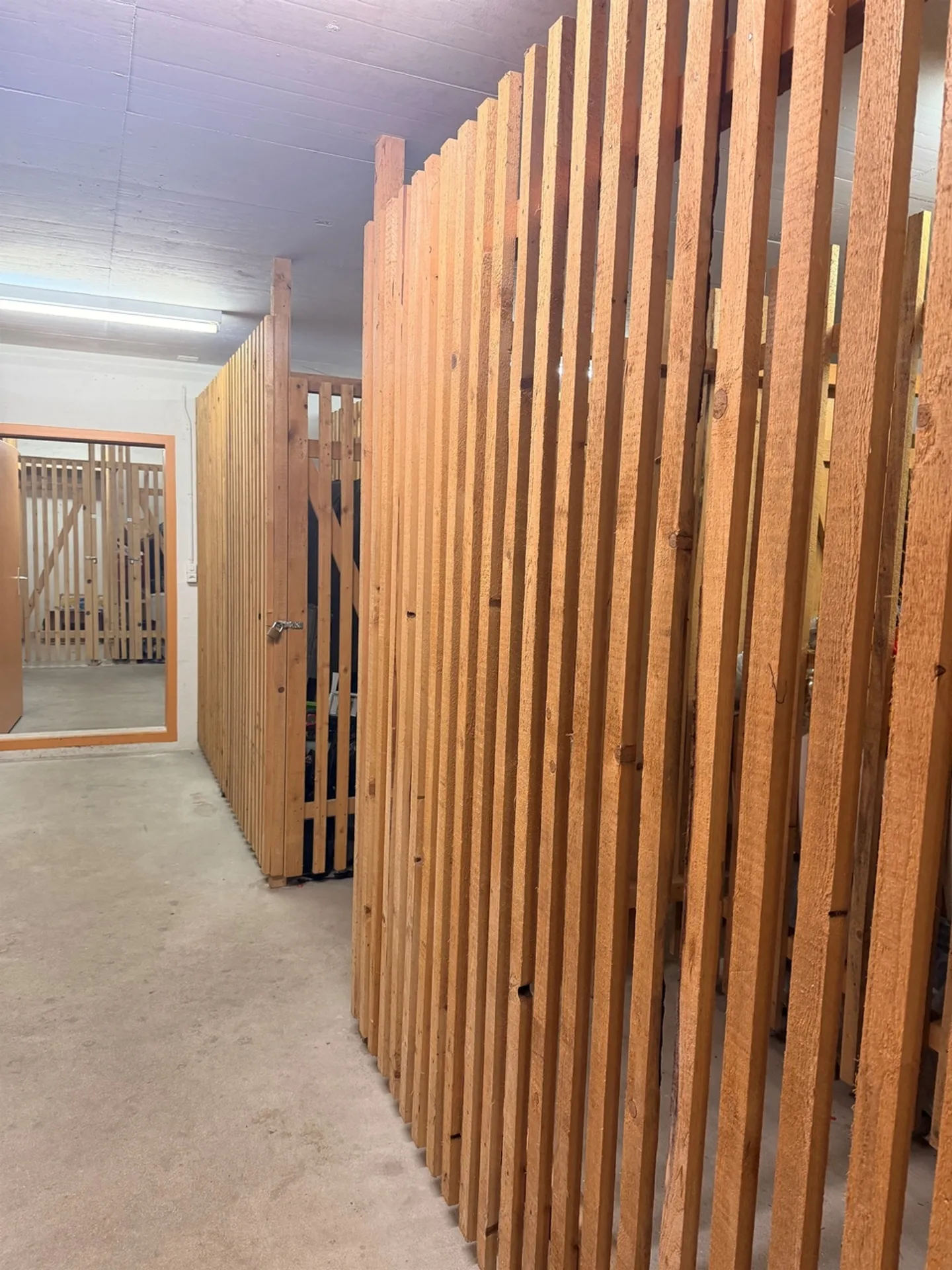 Cellars as storage spaces for rent - Photo 1 of 2