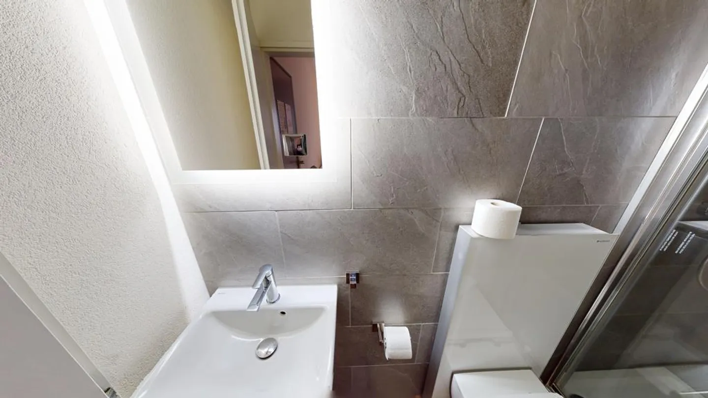 Appartement meublé charmant dans le quartier de Sternmatt - Photo 9 sur 10