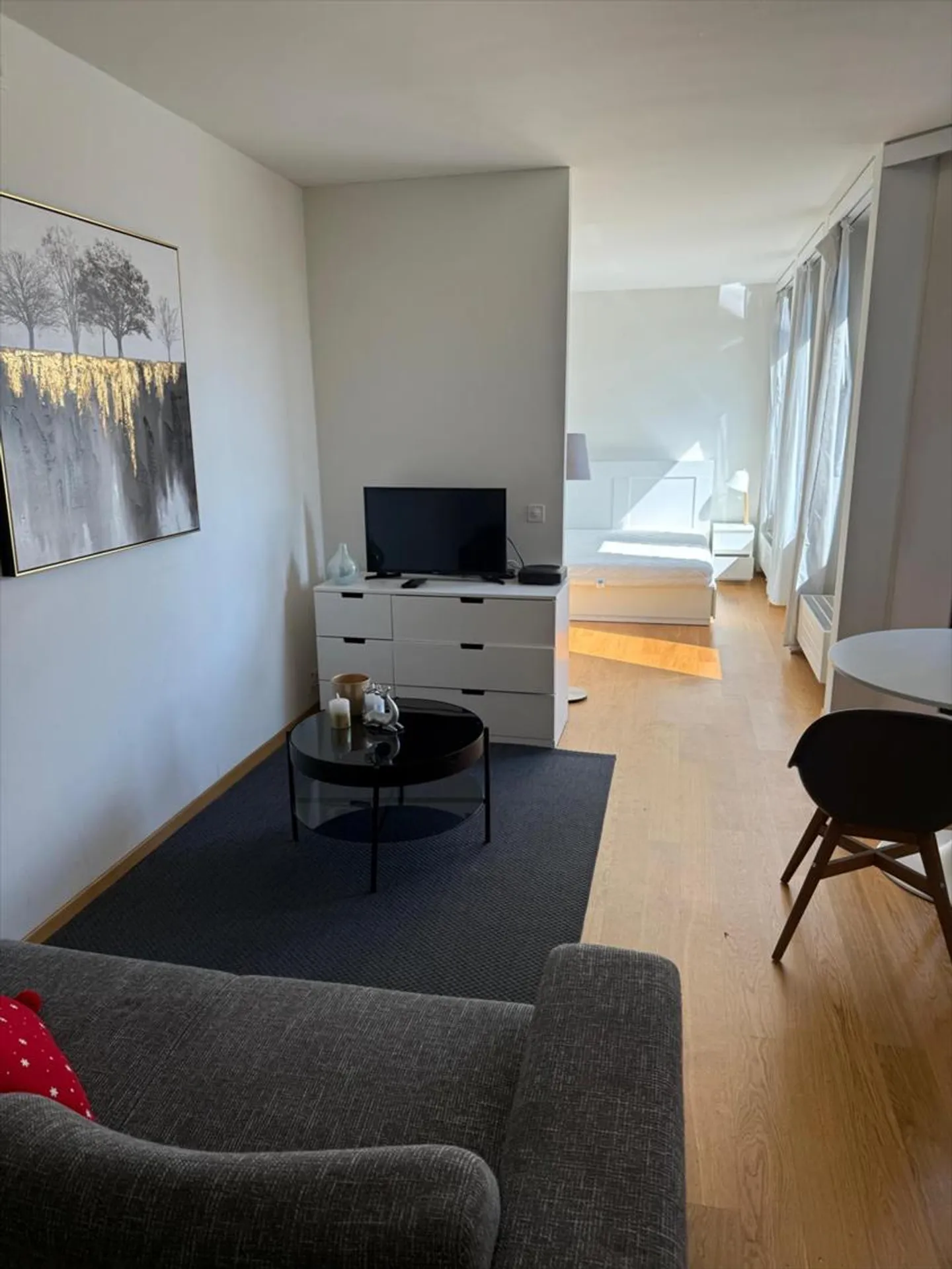 Studio 1.5 stanze - Foto 3 di 6