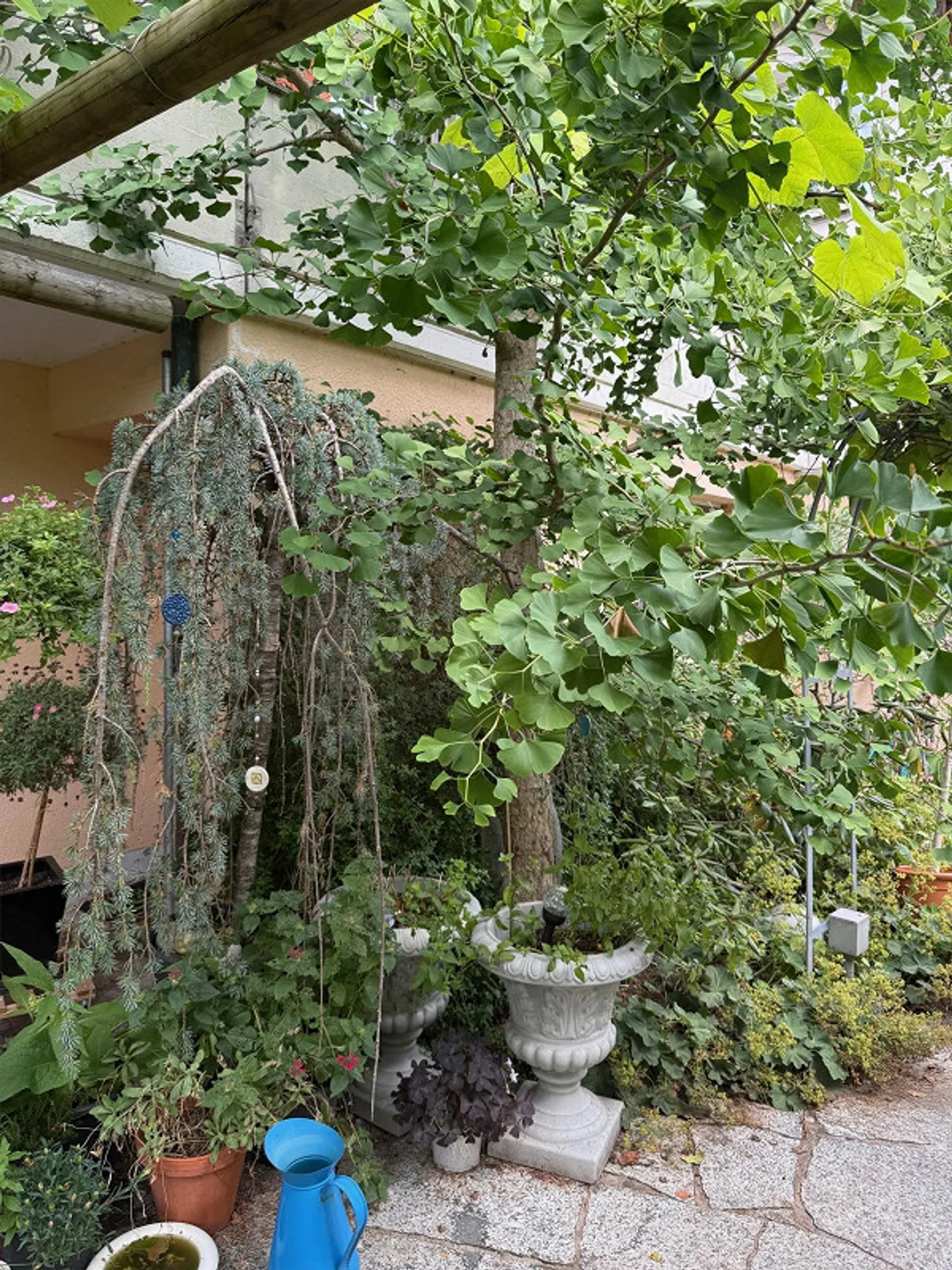 Maison spacieuse avec de beaux environs ! - Photo 8 sur 13