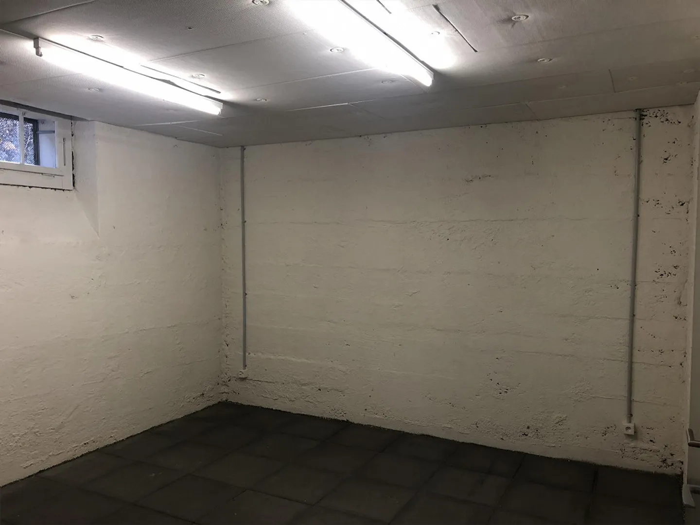 Magazzino in affitto in Lorena - Foto 3 di 9